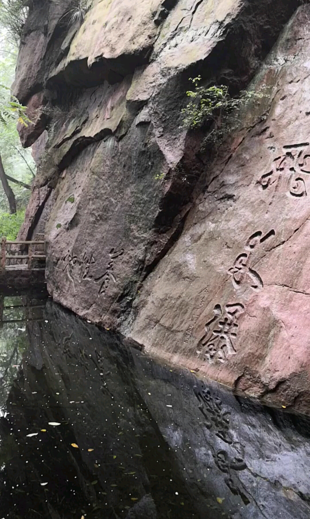 《山里》城里浊气重，山中若