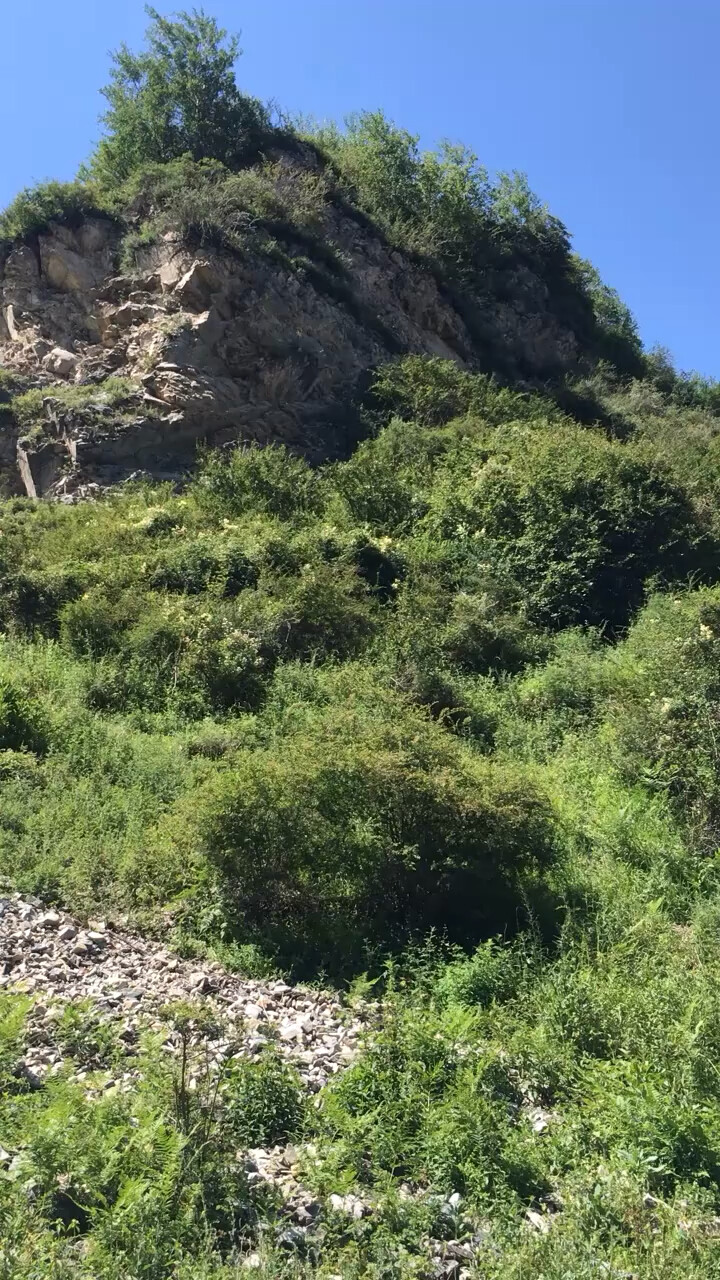 天涯何处无芳草，山里风景确实好