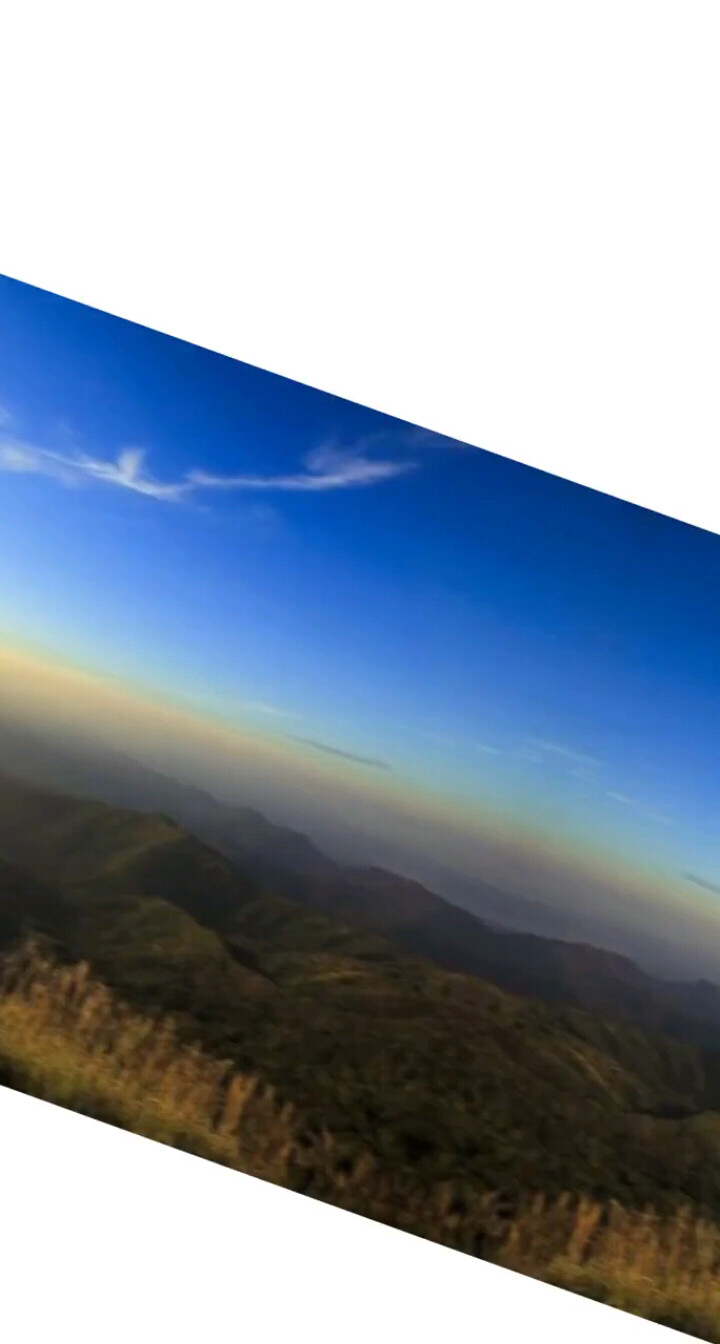 哪有什么选择恐惧症，还不是因为