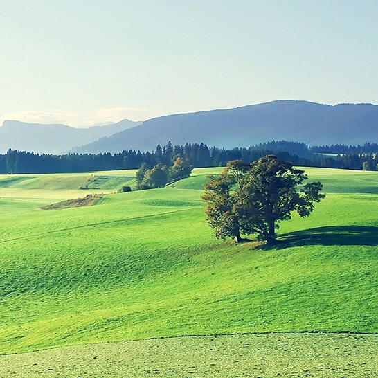 南方浪子⛷海报