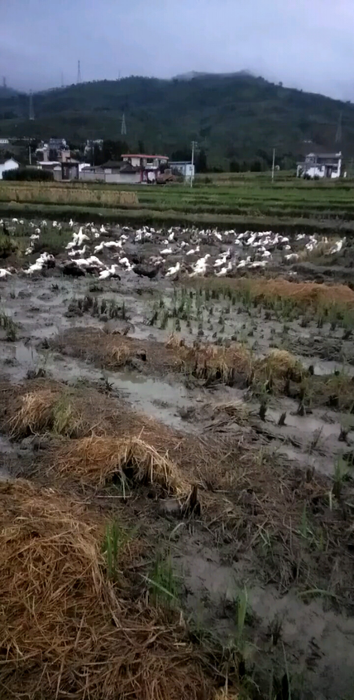 201 9最美风景