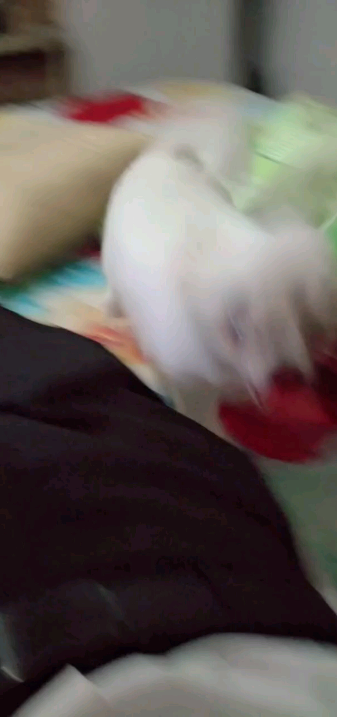 粘人