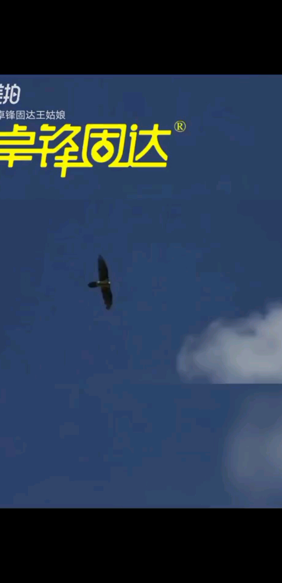 领导者领导信念-卓锋固达