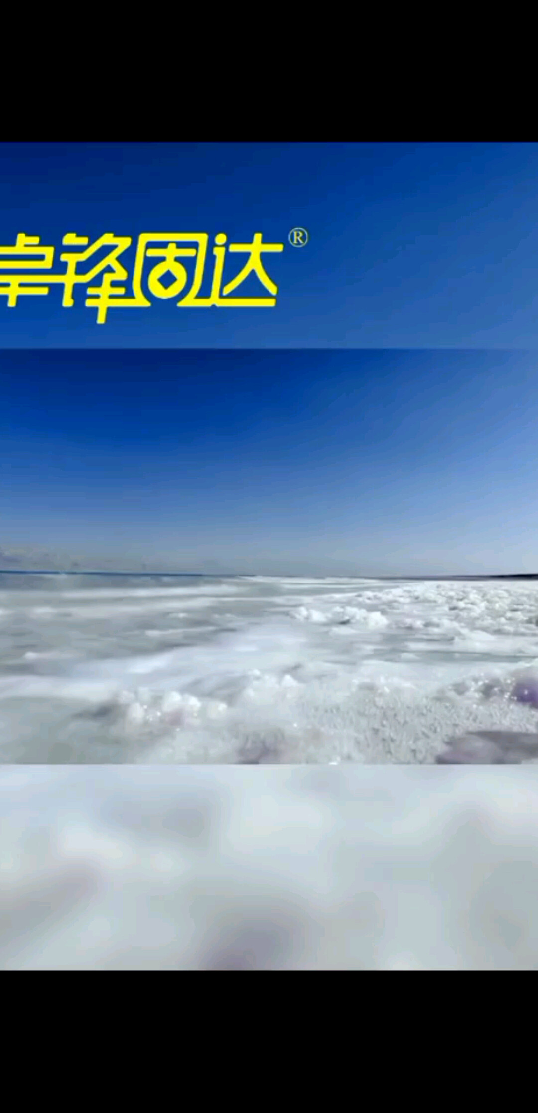 商业的本质是逐利-卓锋固达