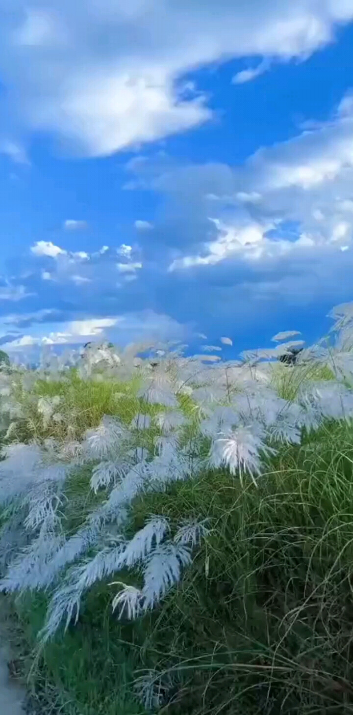 冷雨夜里谁不想归宿，
