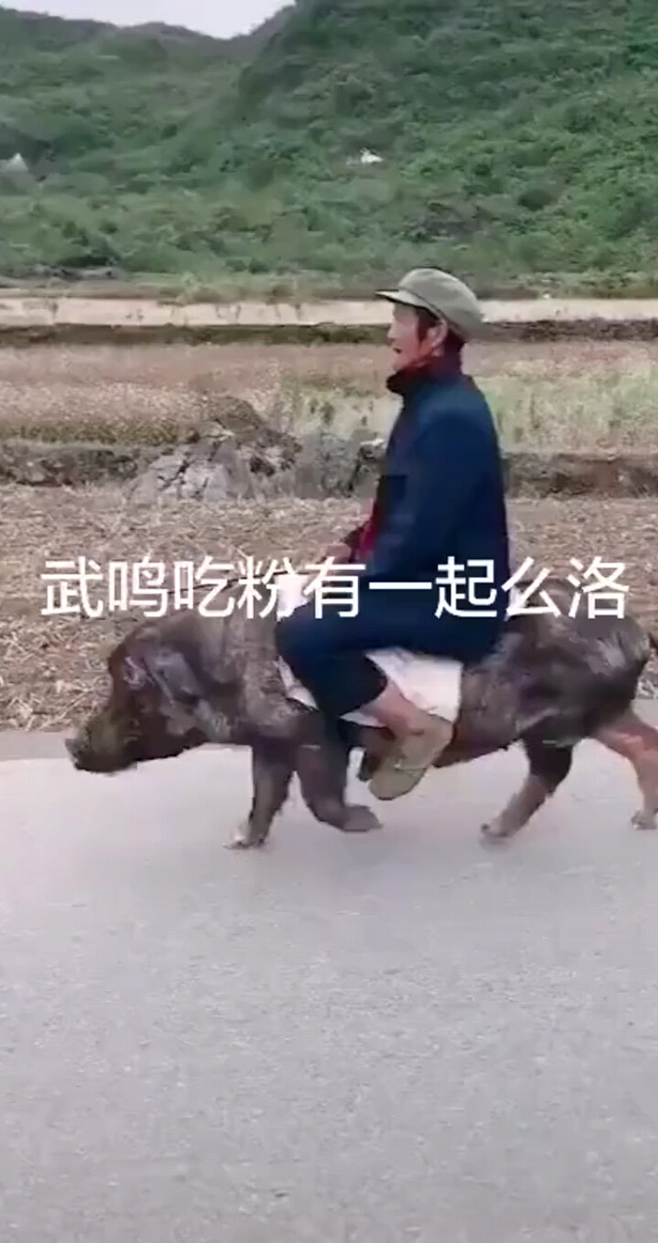 有谁能听懂说什么