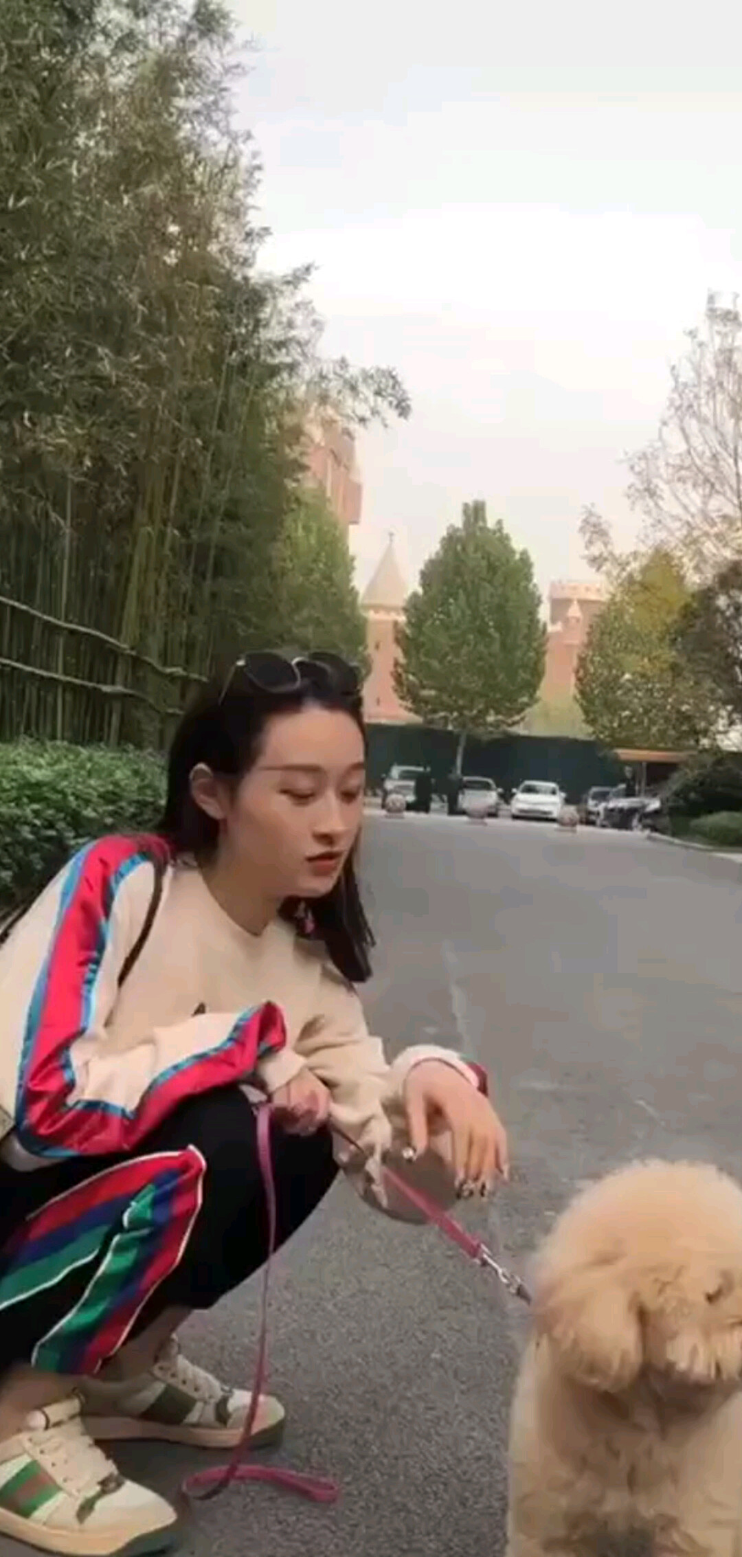 遛狗狗