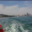 豹逆风海报