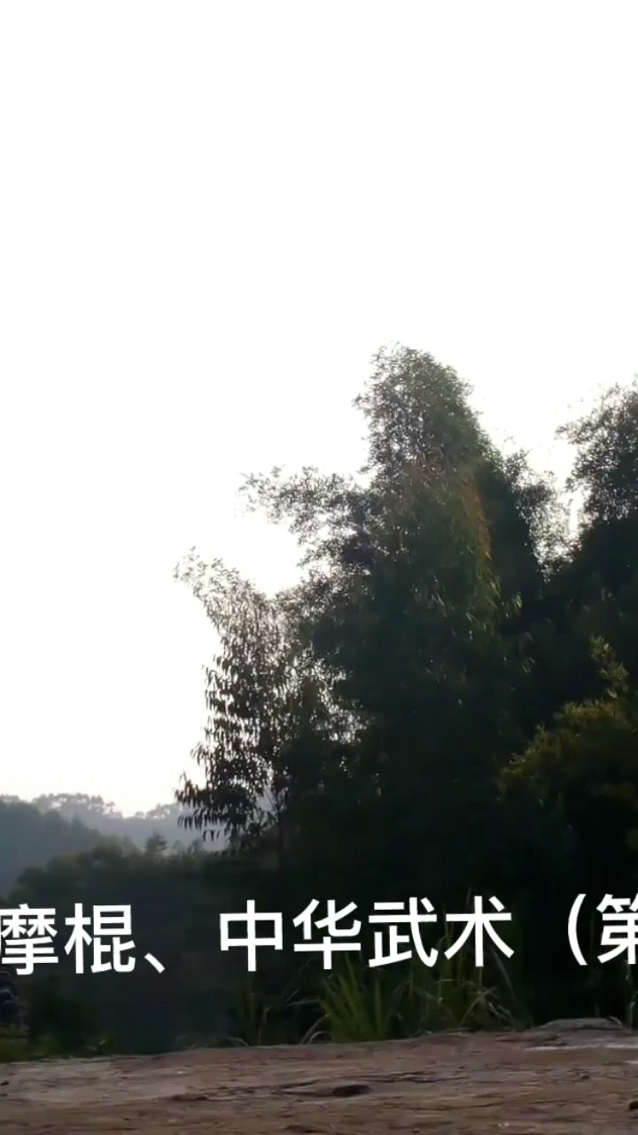 达摩棍、中华武术（第一集）