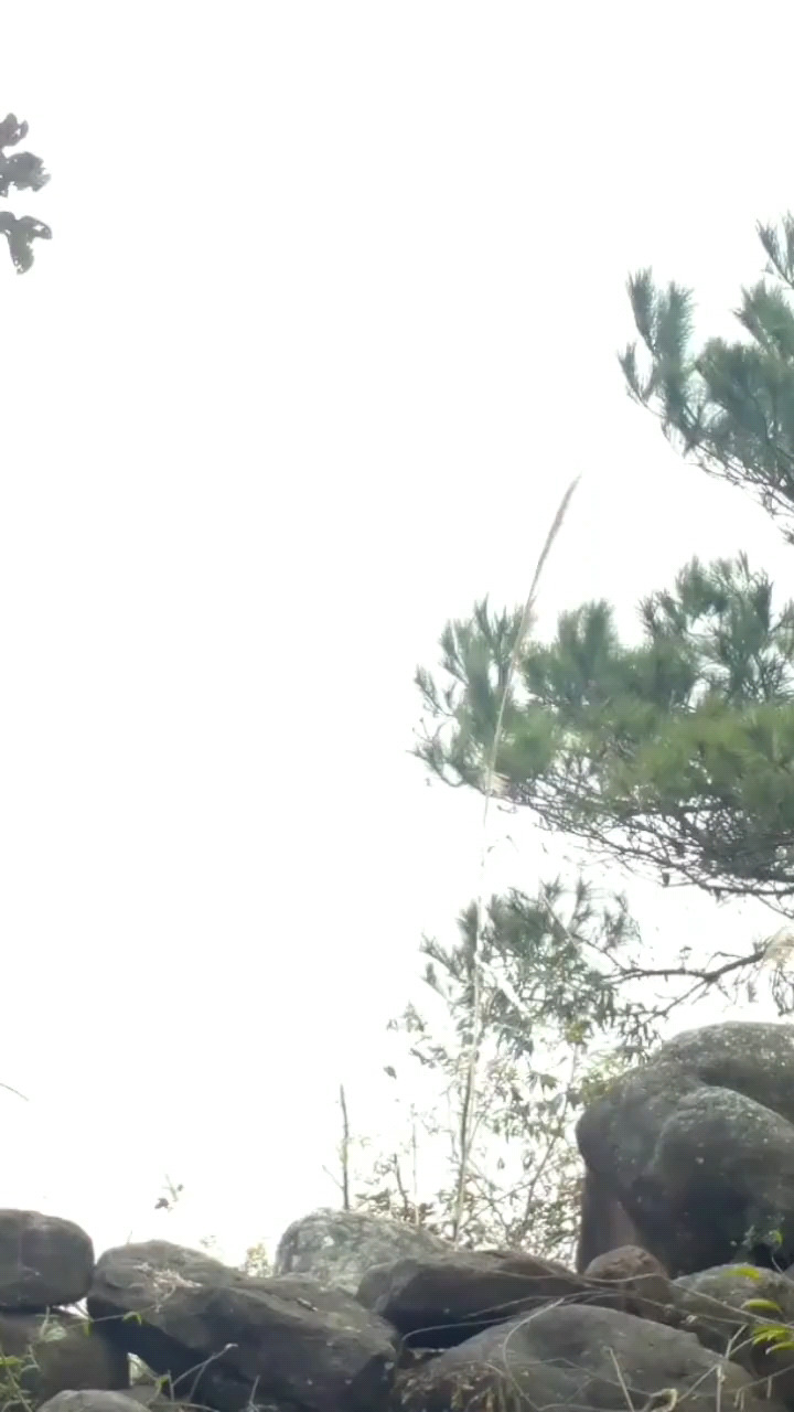 神龙摆尾（影视原声带《第一》）