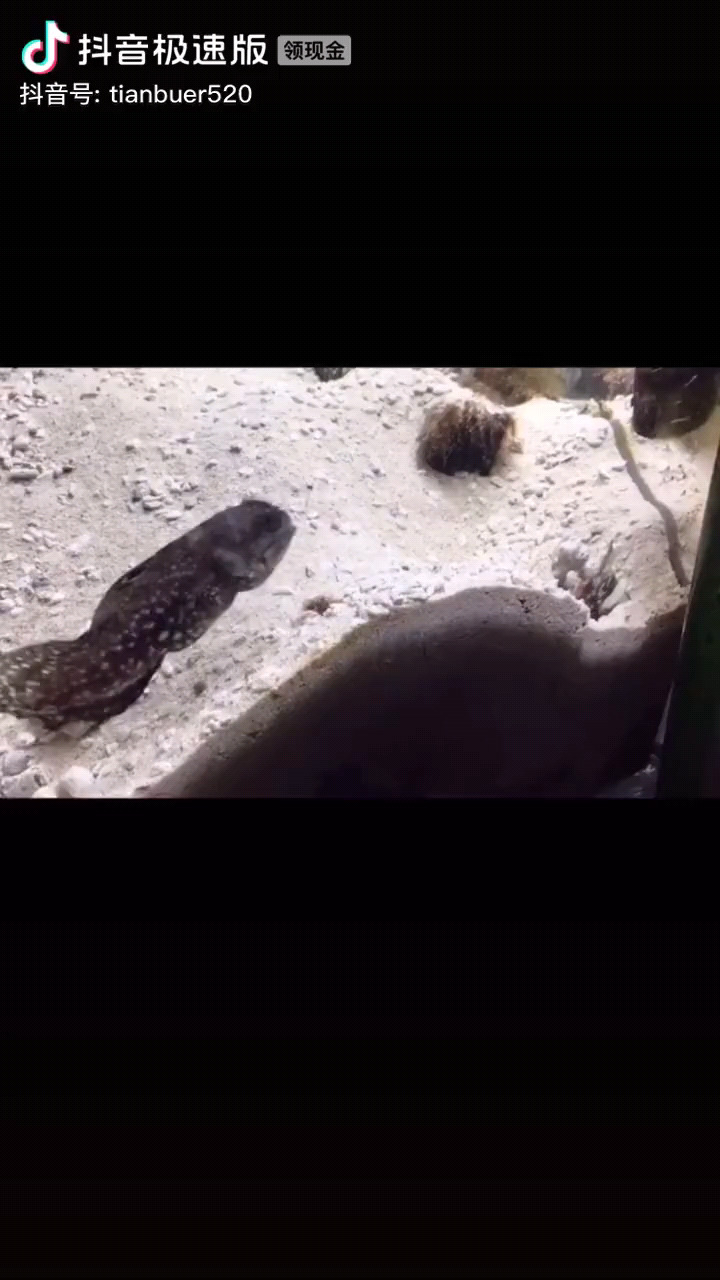 刚筋川话