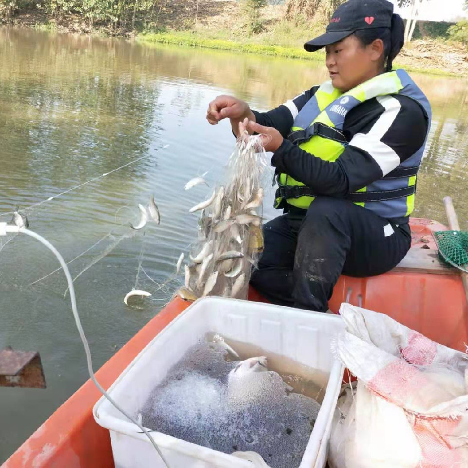 民哥捕鱼海报