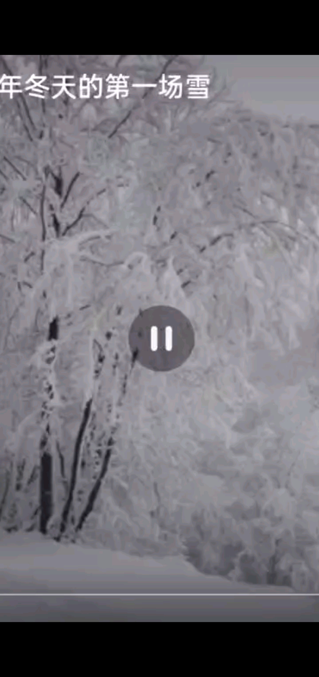 吉林的雾凇，非常漂亮
