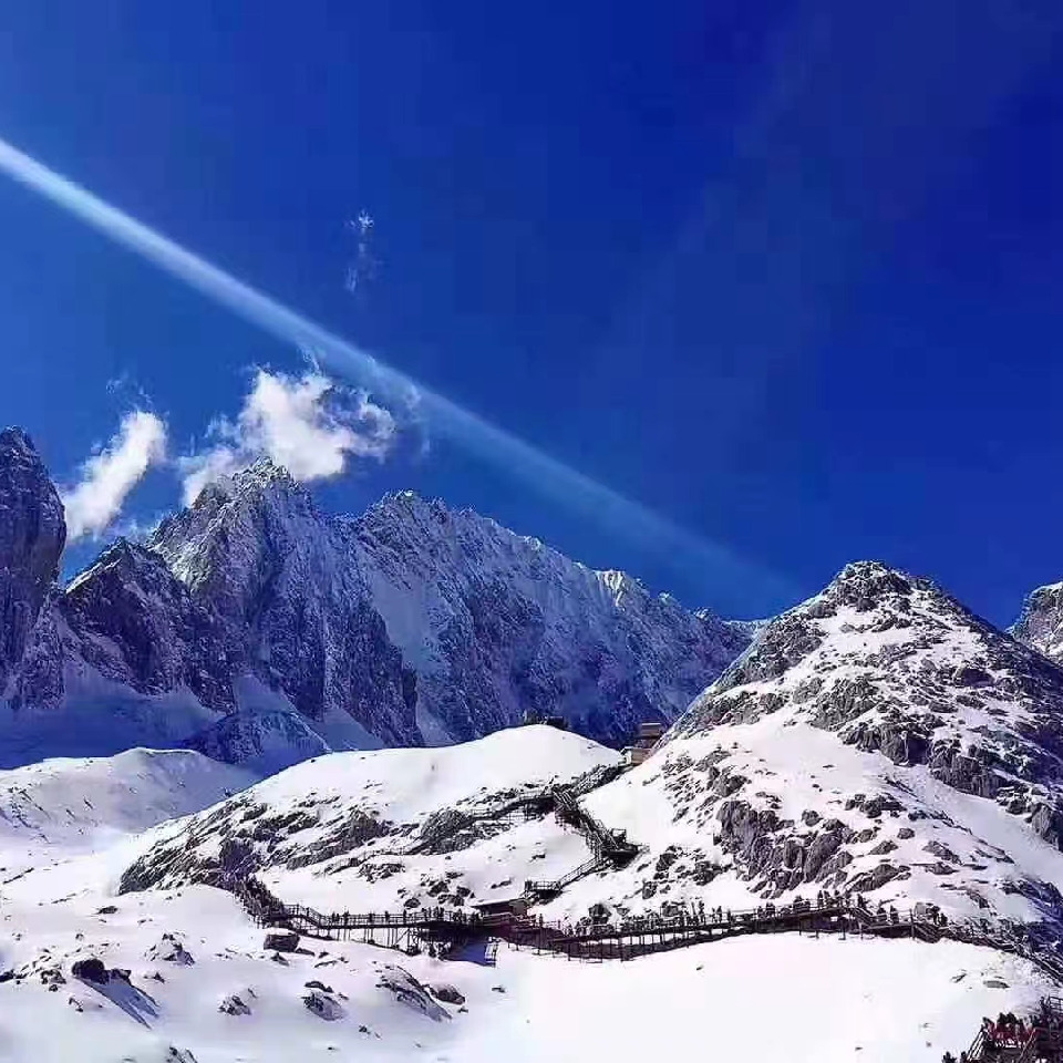 霸🤥哥海报