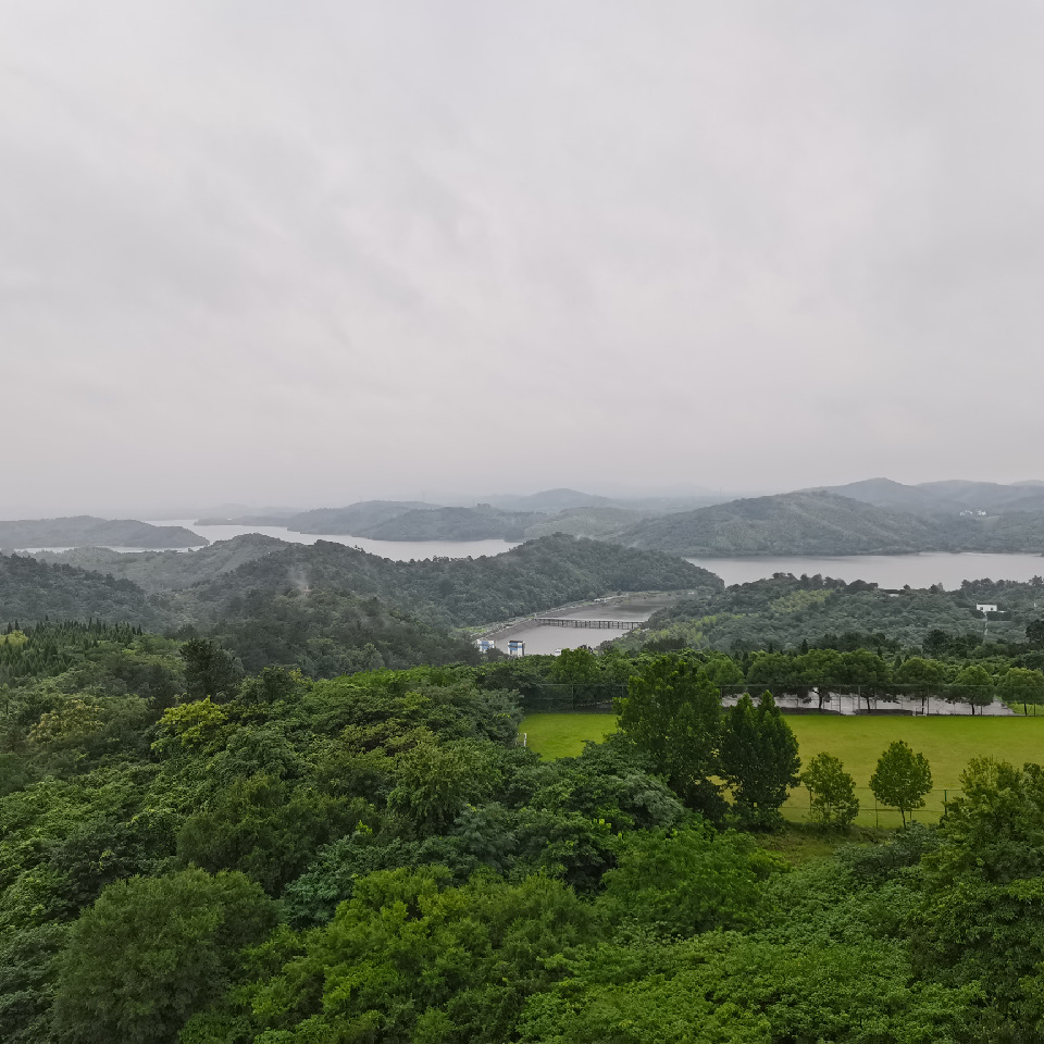 极限刺猬海报