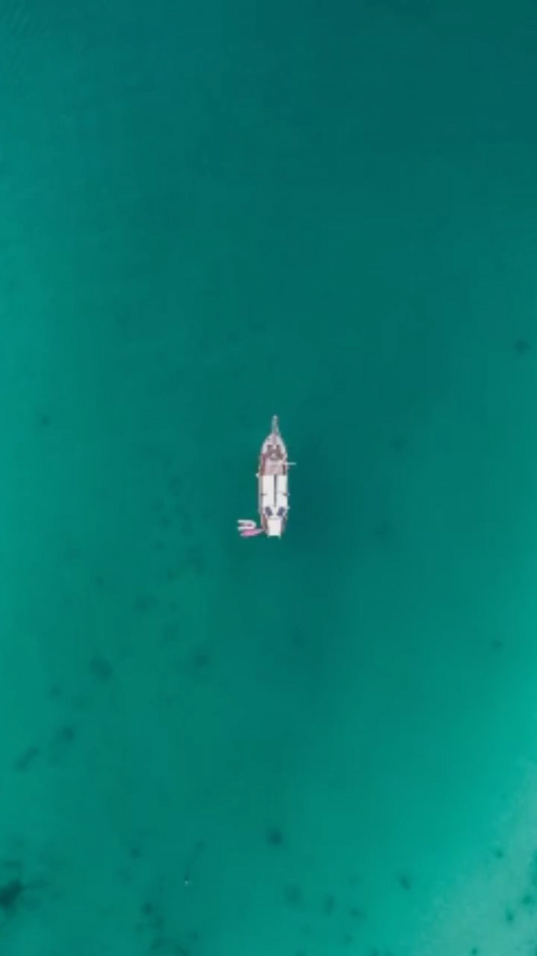考虑考虑