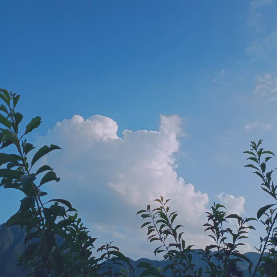 退网打王者荣耀海报