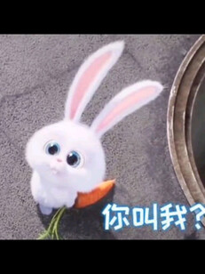 时间给我留下的创伤，