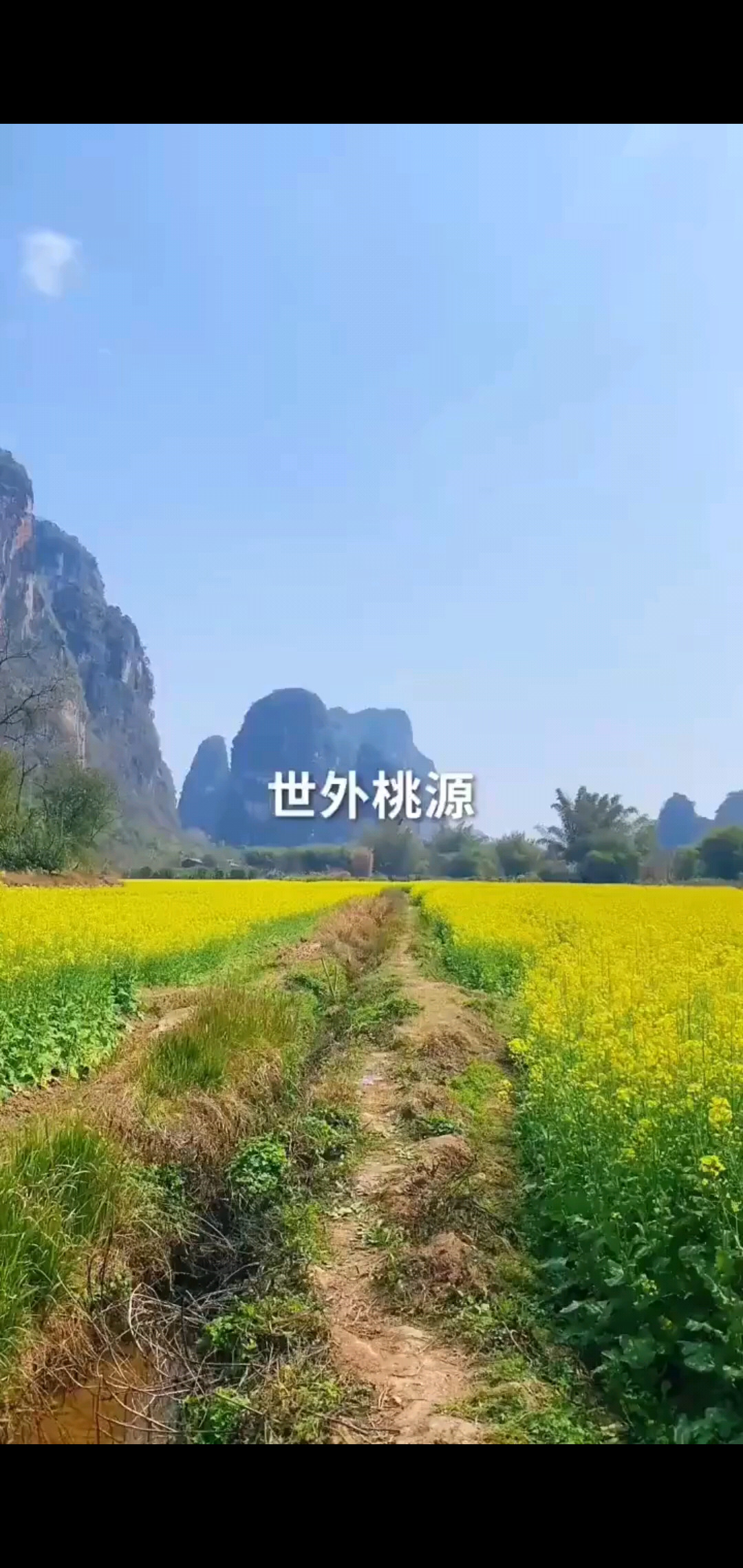 好美的风景～