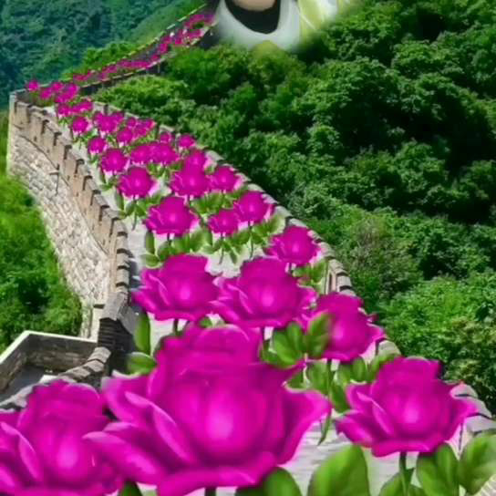 沫莉莉海报