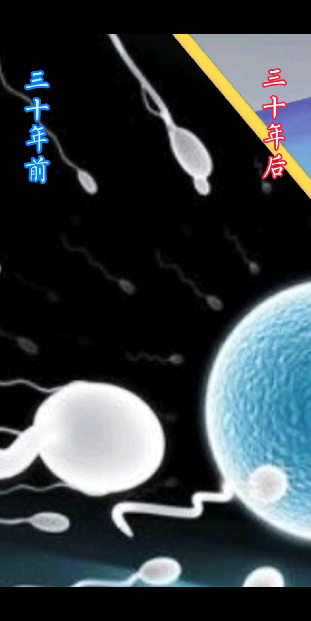 记得想我啊