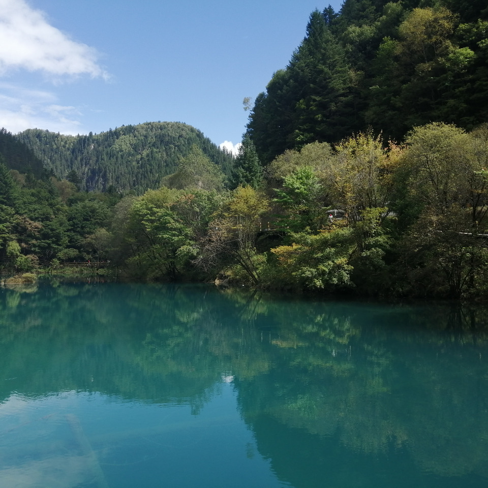 友东u海报