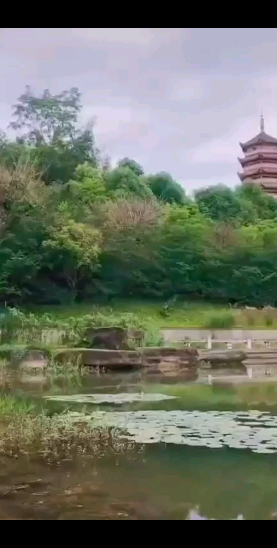 再长的路，一步步也能