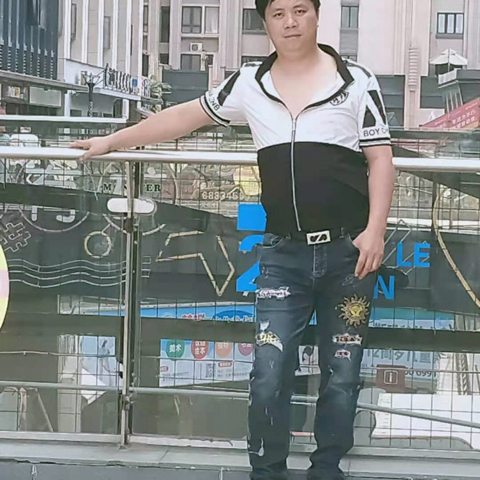 一佳之林海报