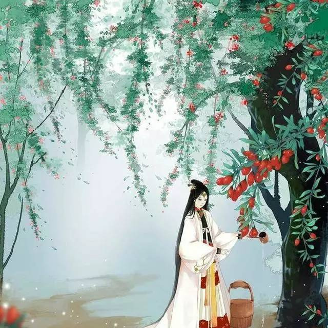 ☯燕赵多佳人海报