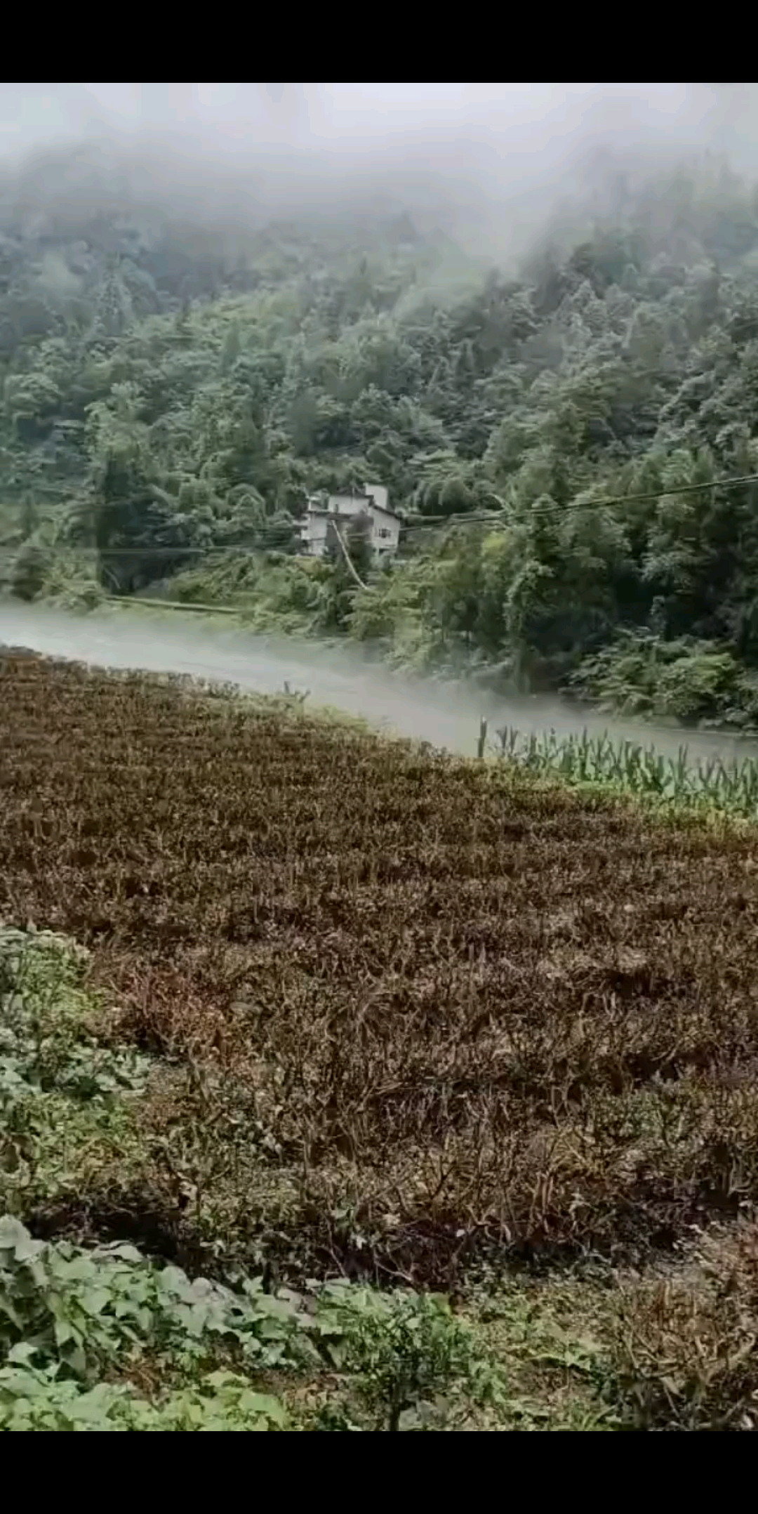 美丽的家乡大山深处
