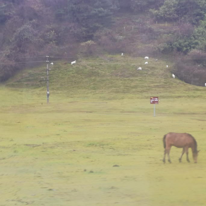 小苹果7xc海报