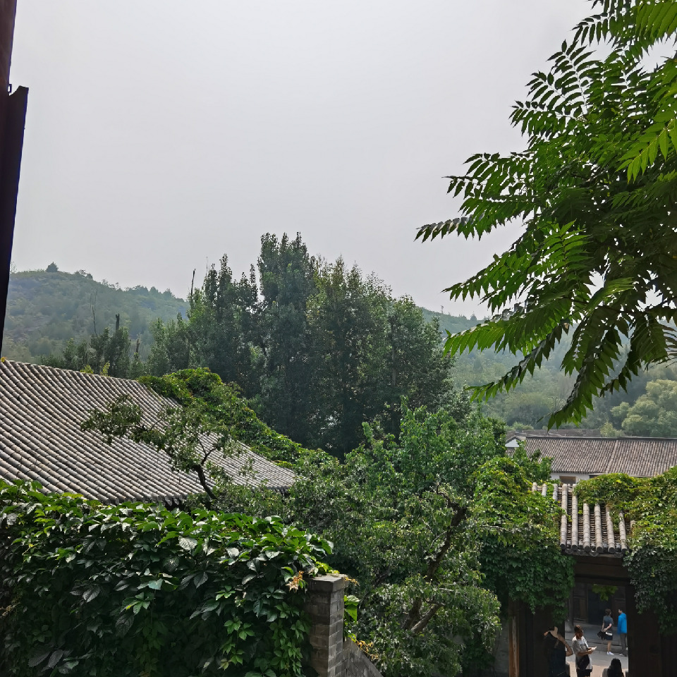 啥垃圾海报
