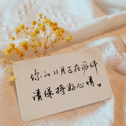 柠檬肉肉海报