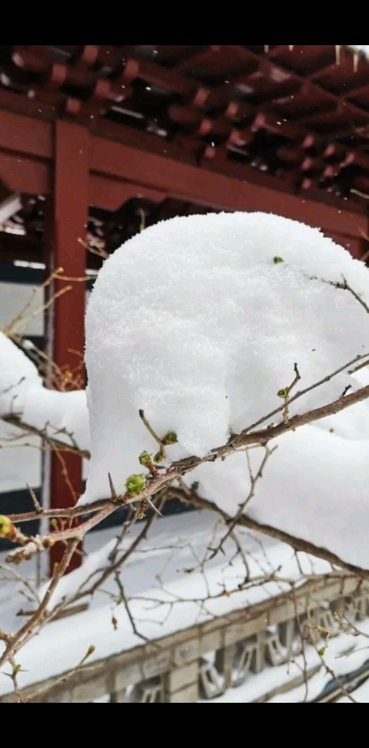 雪景怡人好美景色