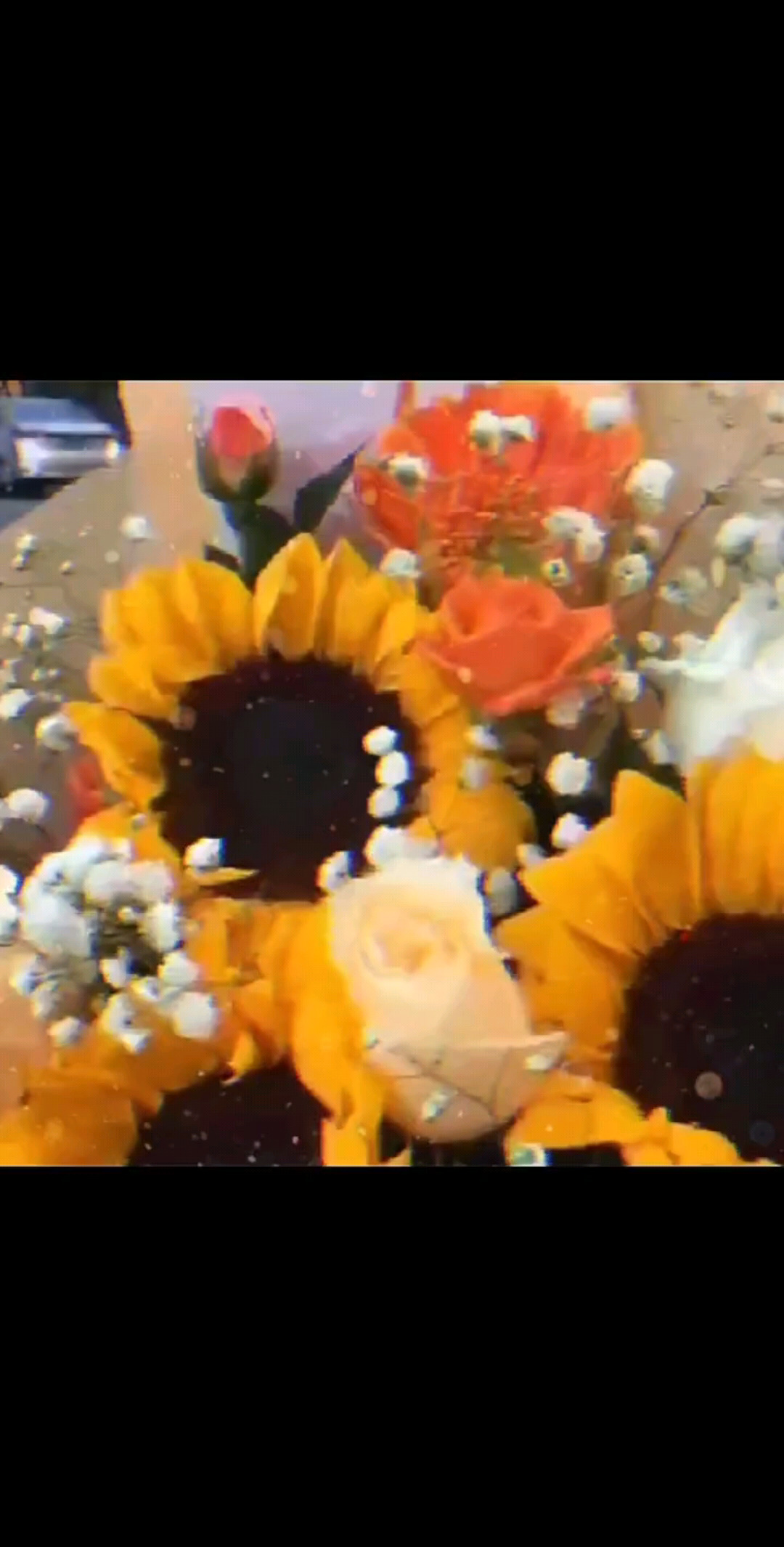 最钟爱的花花还是向日