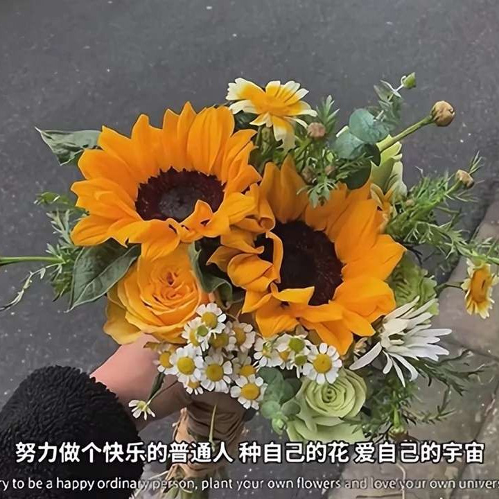 小徐XTF海报