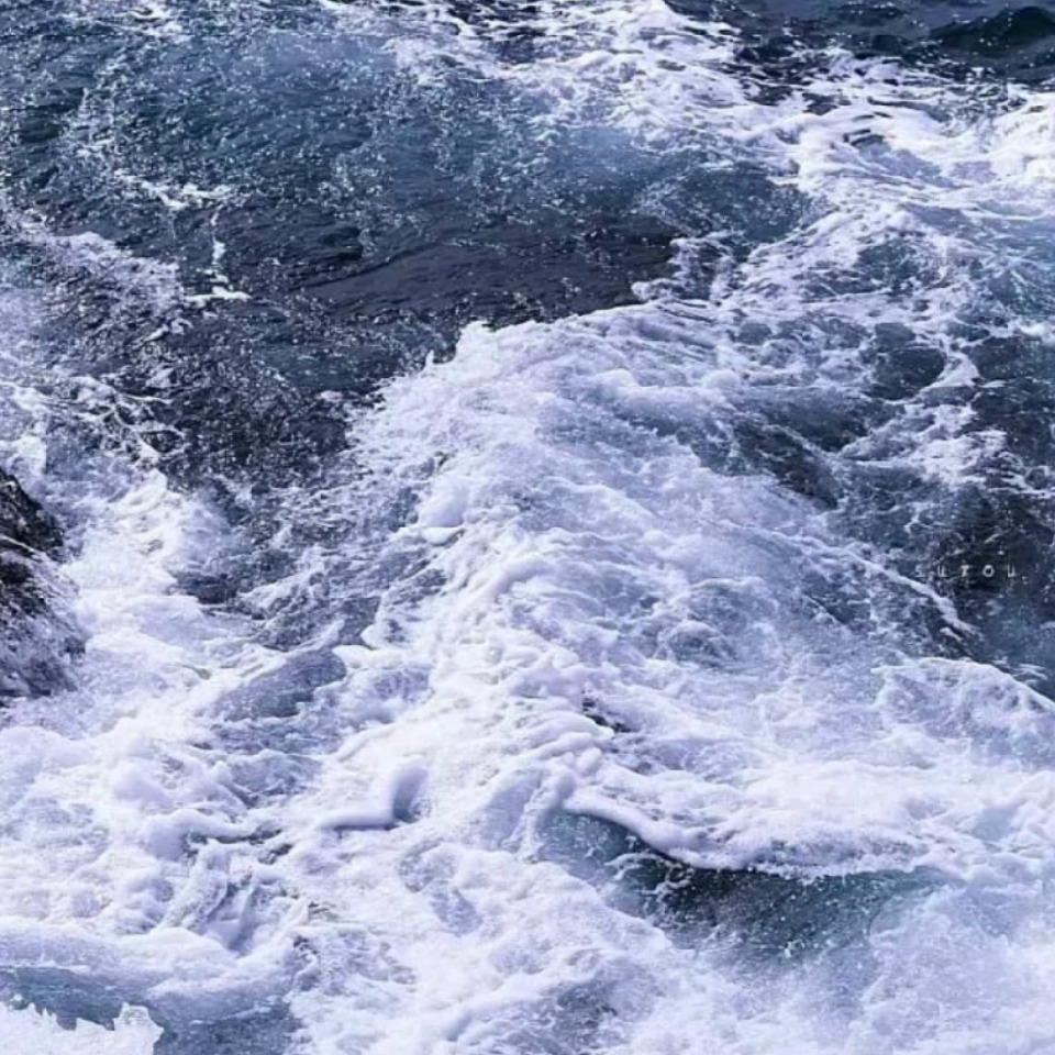 狂就骂你海报