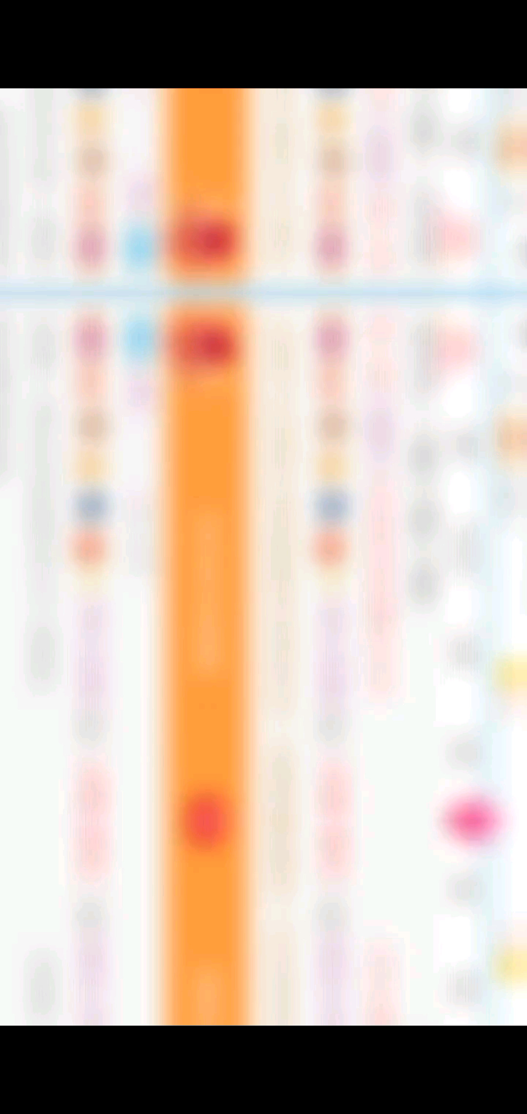 谢飞扬哥哥的守护谢土