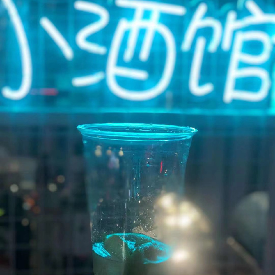 暗夜入红尘已休海报