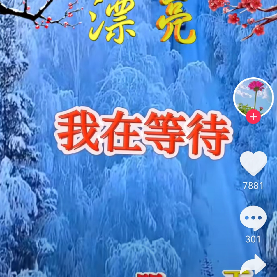 东北言少海报