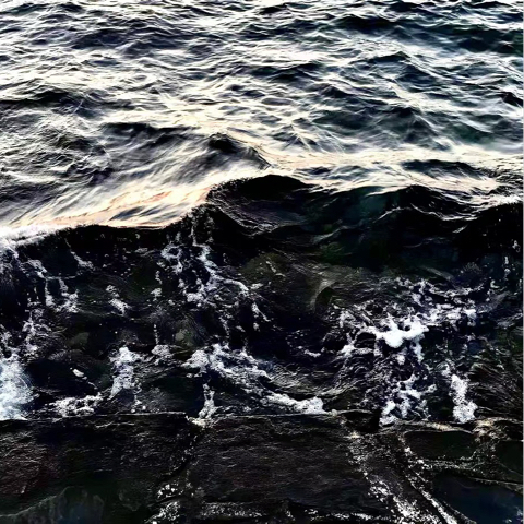 /花开富贵海报