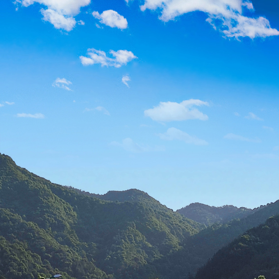 此账号已注销海报