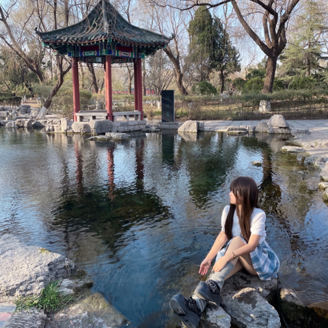 小樱🍡海报
