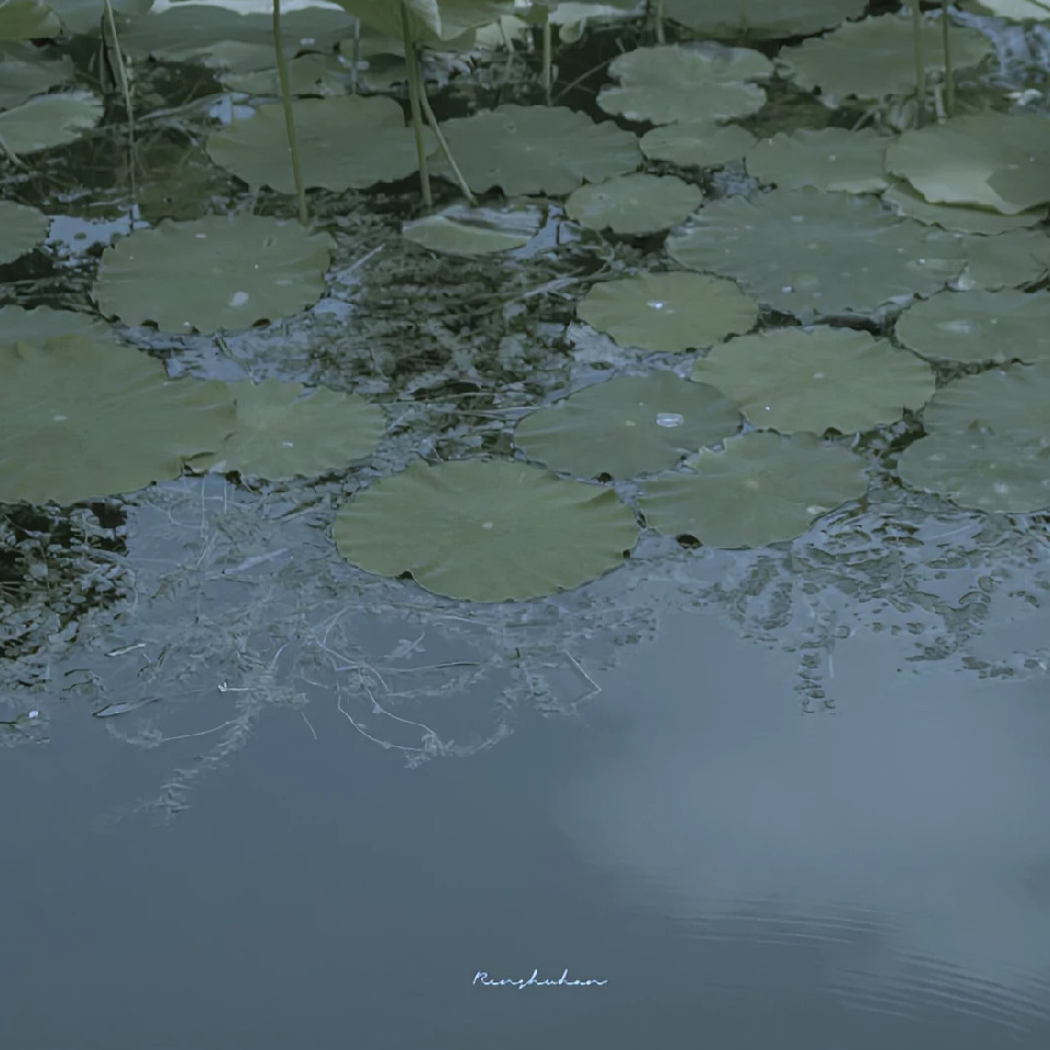 应酌山海报