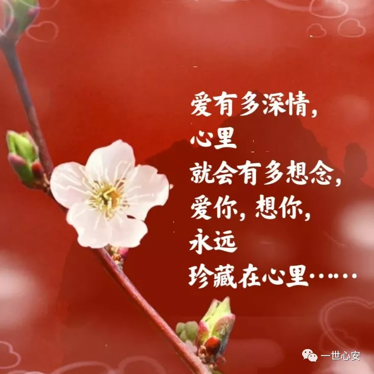 恭喜你发现镇店之宝海报