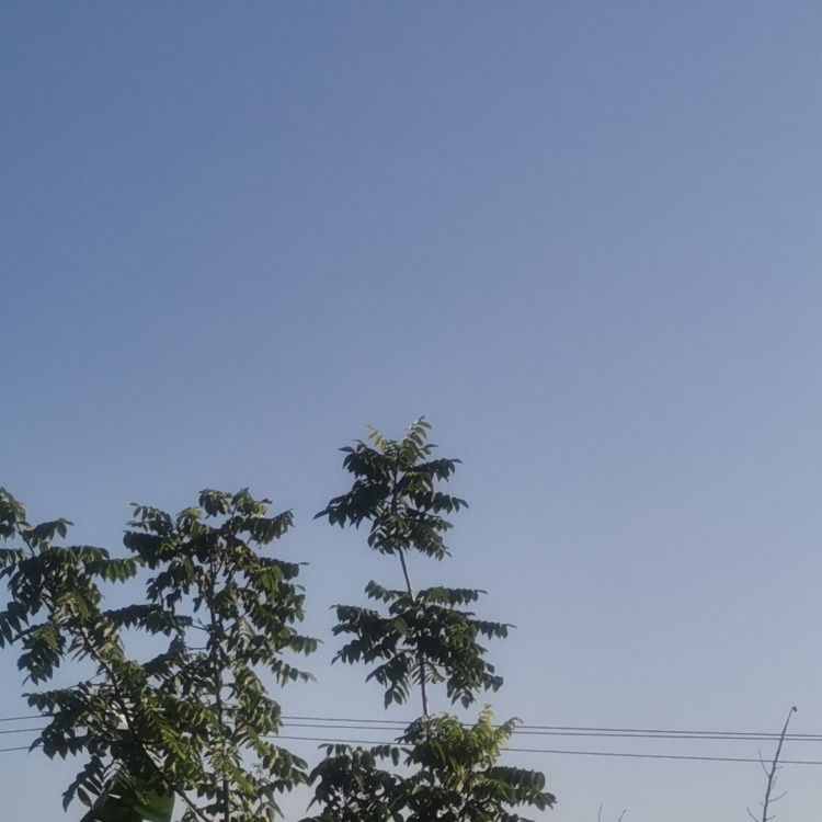 久违的伟少，，海报