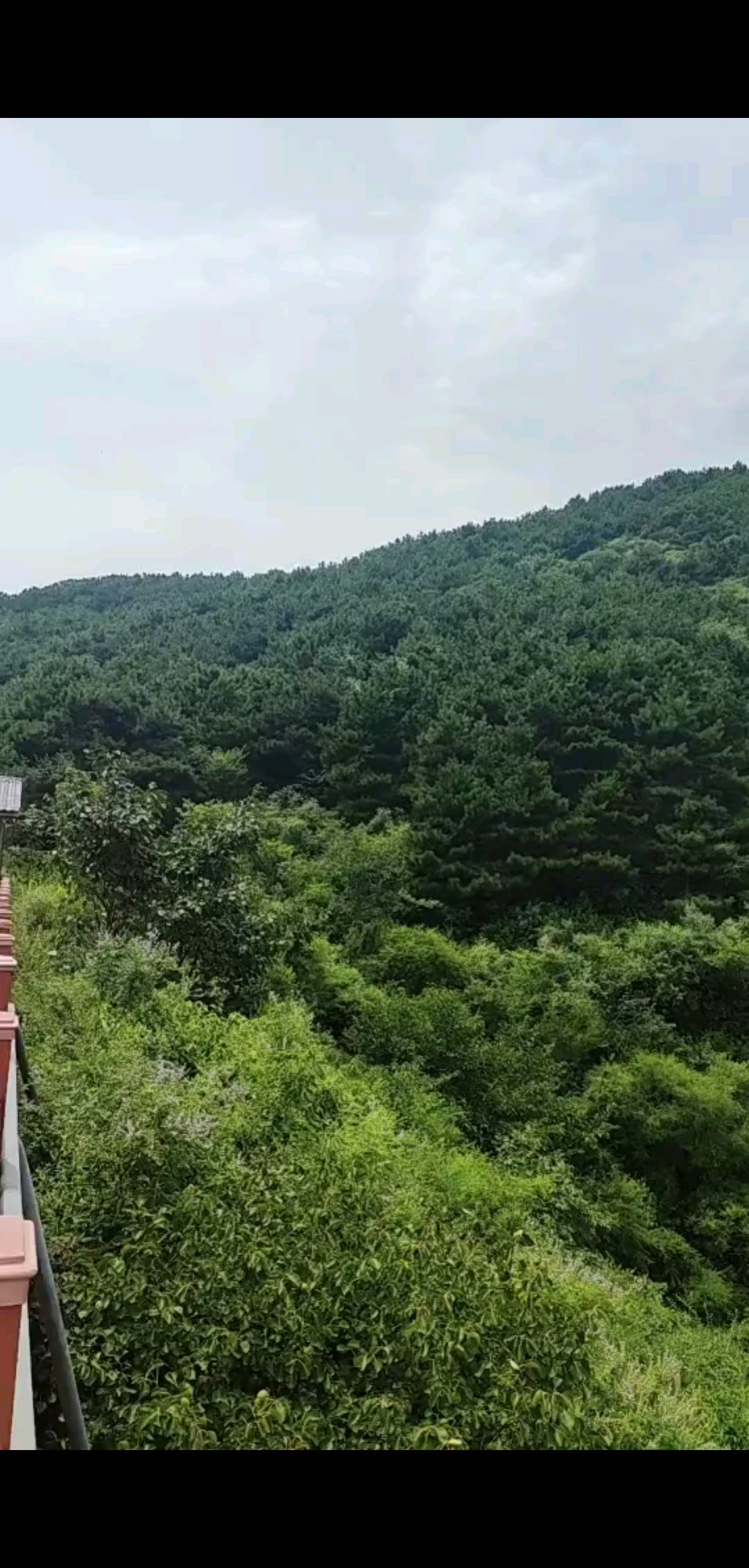 生活不止眼前的苟且…