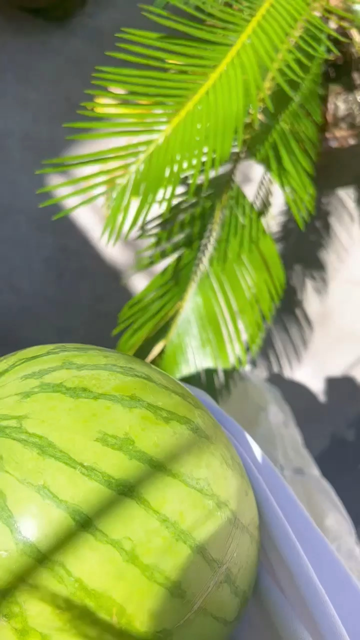 有吃好喝好喲/害羞