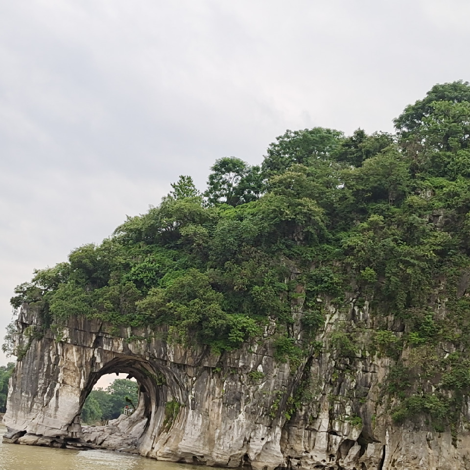 大理锦森海报