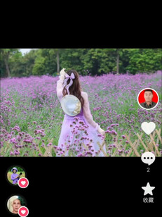 万通大师创始人韦燕女